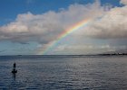 WhaleWatching 004